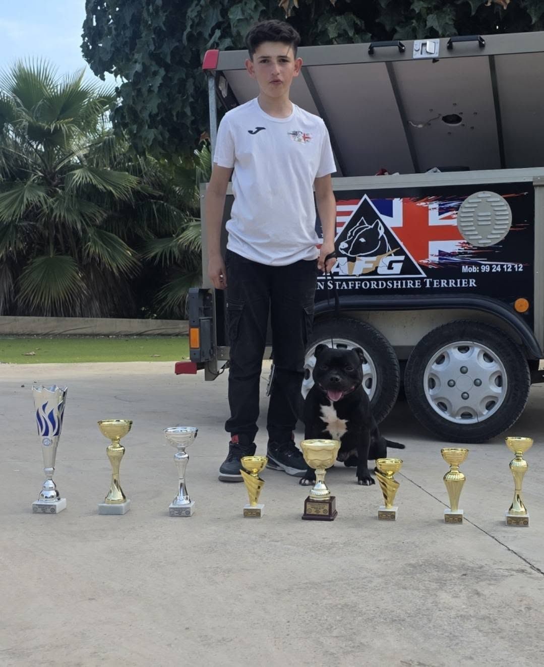 Staffordshire Bull Terrier with all the trophies won at the show, in front of the AFG trailer