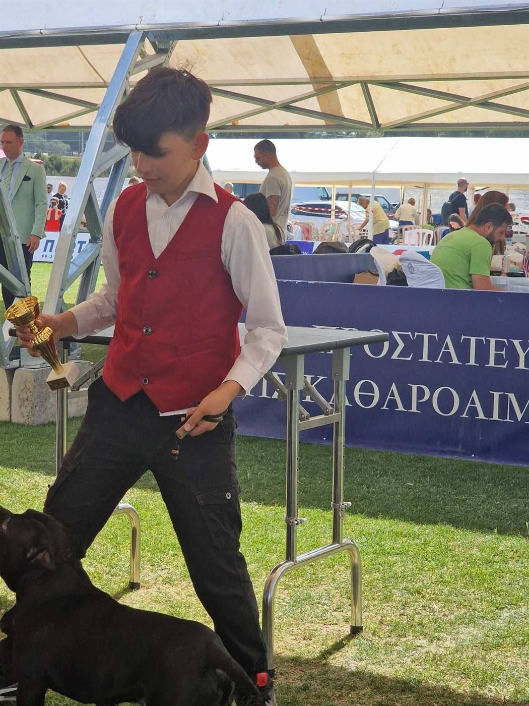 Young handler holding a trophy beside an AFG Staffordshire Bull Terrier