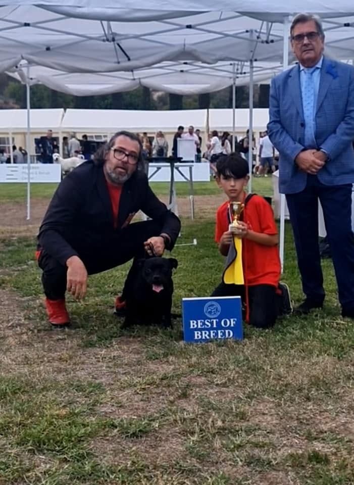Mooncraft's Kiss and Play with the Best of Breed sign, trophy and judge