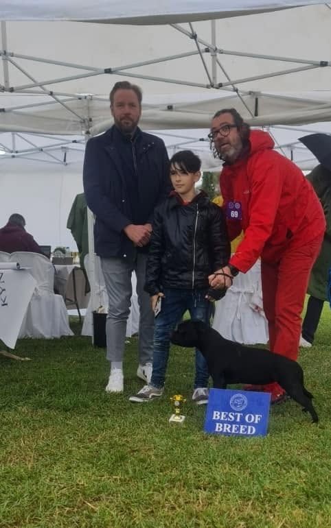Mooncraft's Kiss and Play winning Best of Breed under the show tent