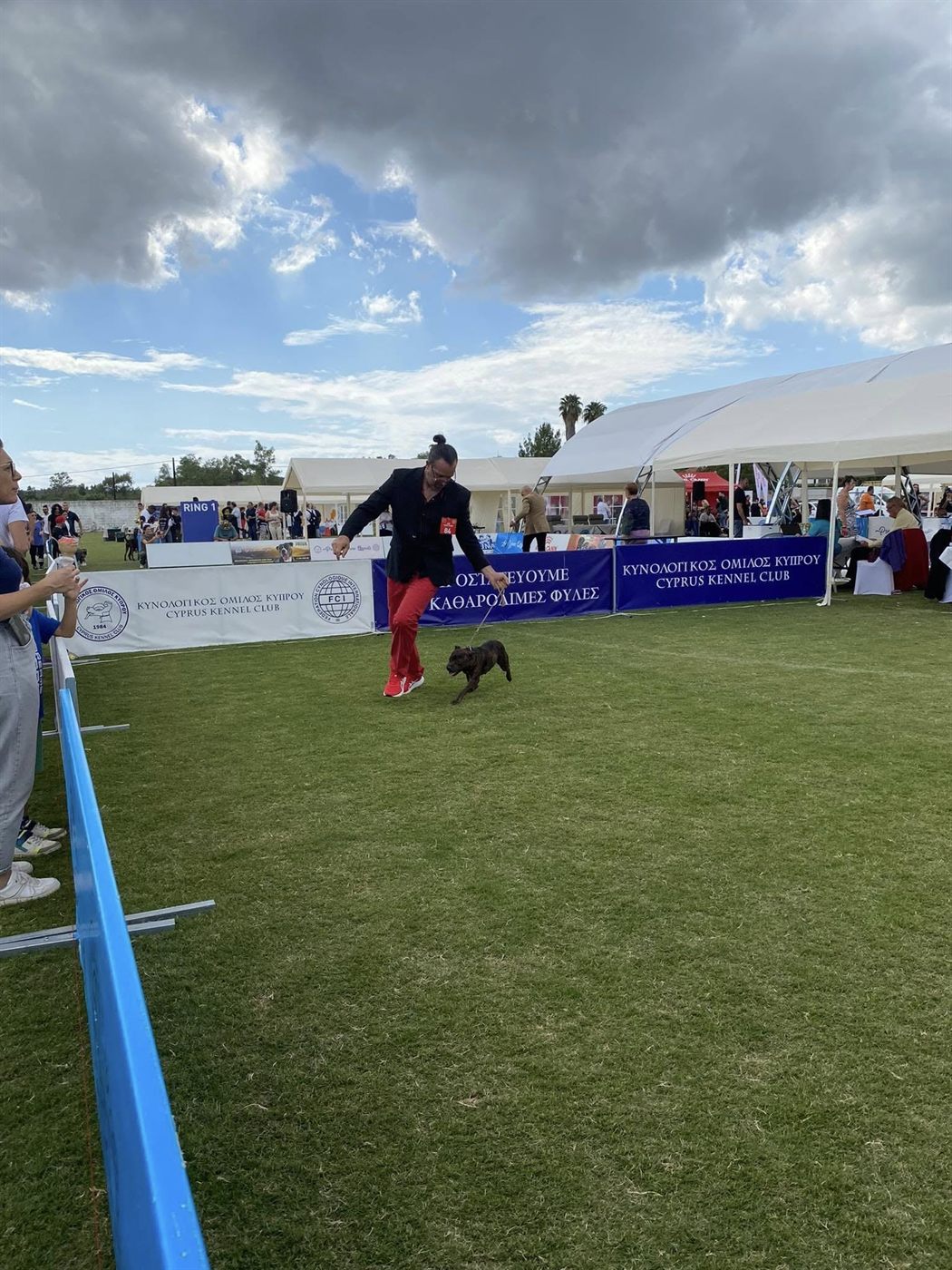 AFG Staffordshire Bull Terrier gaiting in Ring 1 at the Cyprus Kennel Club show, October 2023
