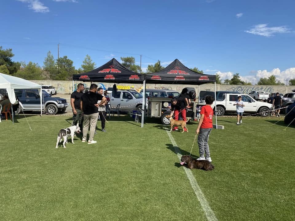 AFG dogs waiting by the AFG Kennel stand at the show grounds