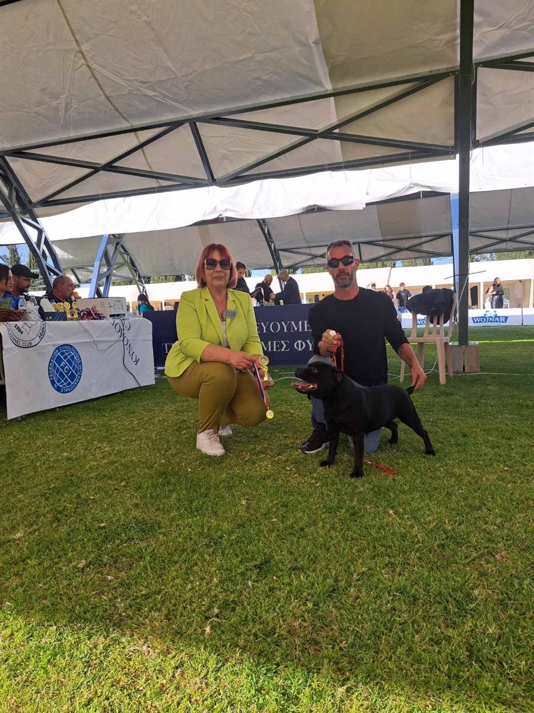 Staffordshire Bull Terrier receiving a trophy and medal from the judge