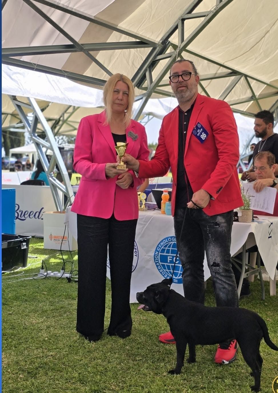 Judge presenting a trophy to an AFG Staffordshire Bull Terrier