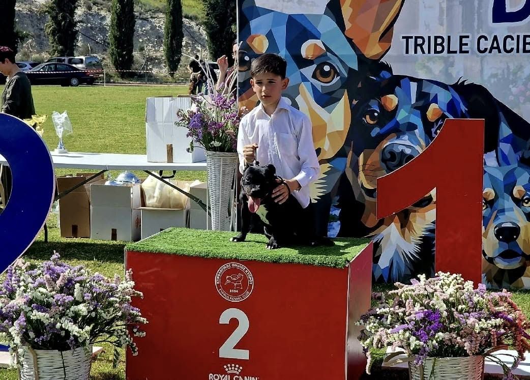 Young handler with an AFG Staffordshire Bull Terrier puppy on the second-place podium step