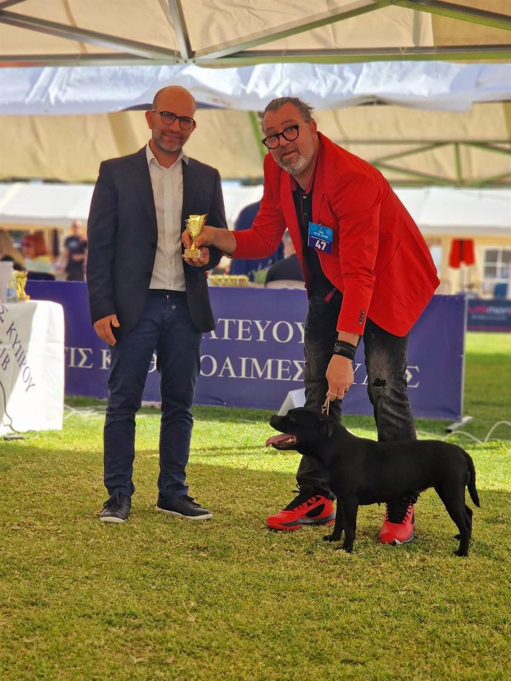 Judge presenting a trophy to an AFG Staffordshire Bull Terrier