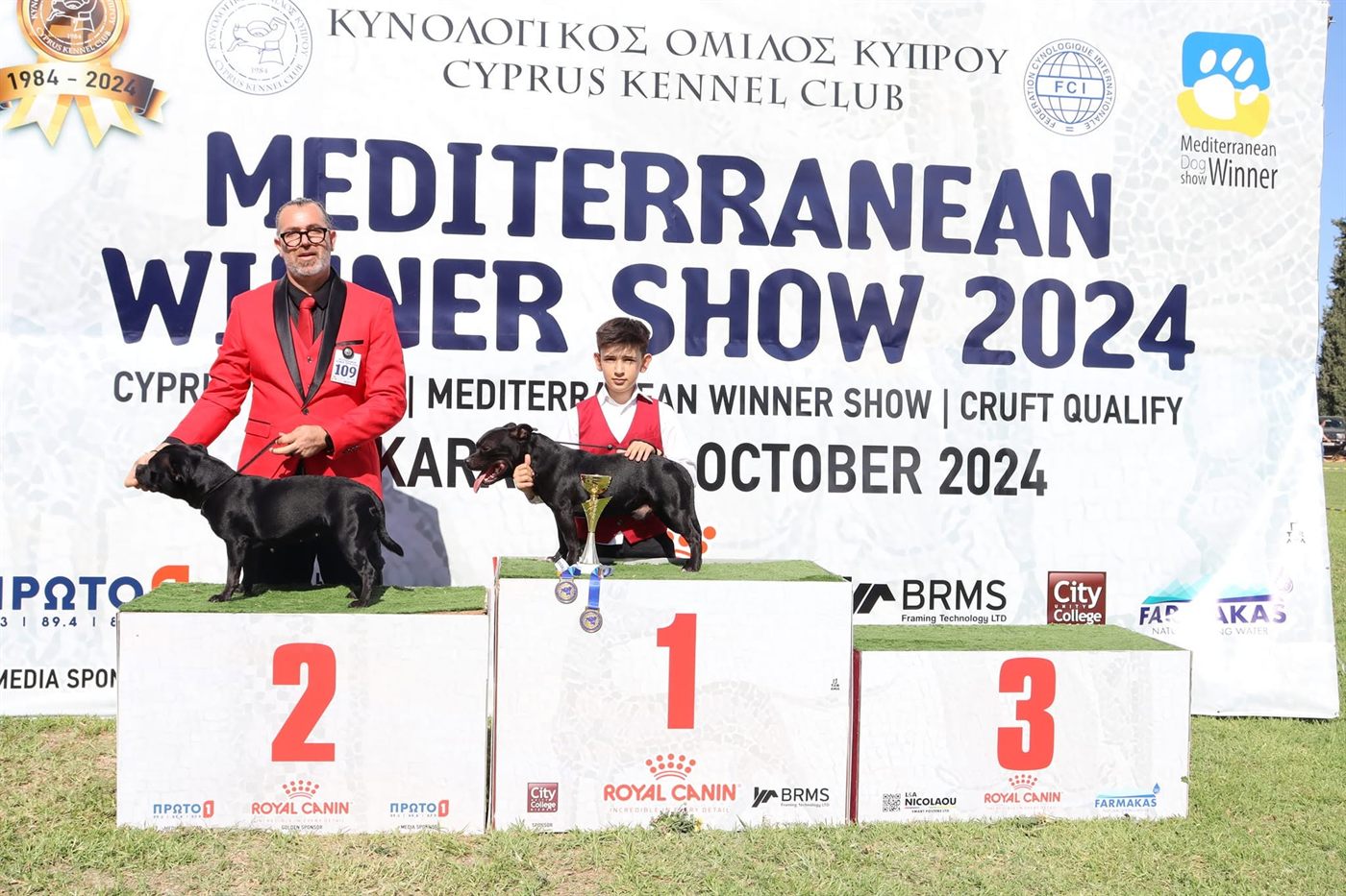 Two AFG Staffordshire Bull Terriers on the first- and second-place podium steps at the Mediterranean Winner Show 2024