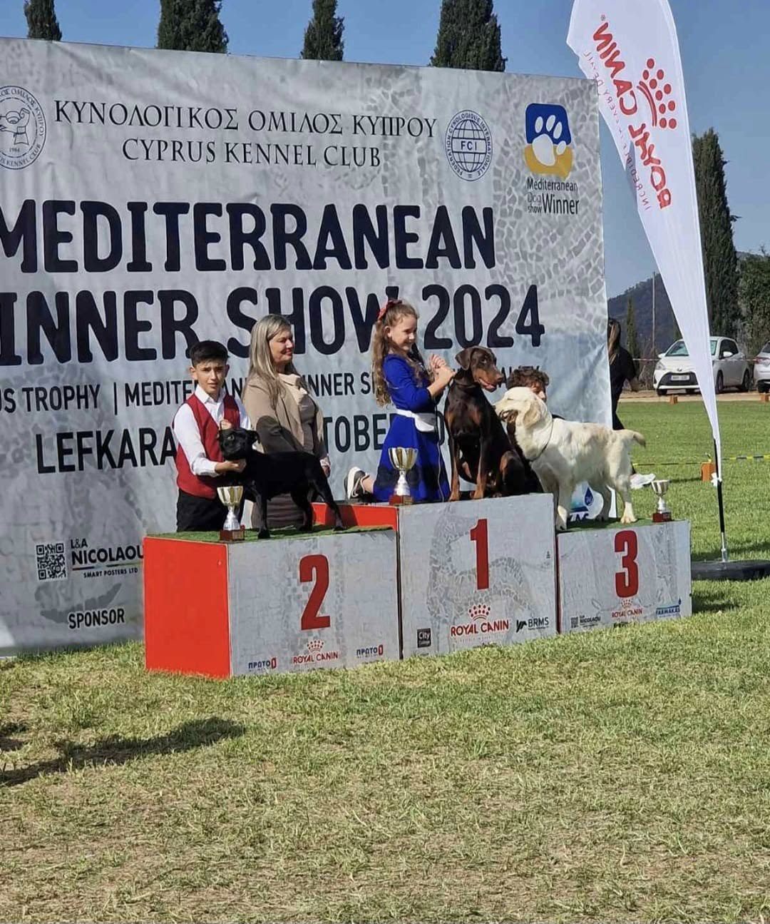 Young handler with an AFG Staffordshire Bull Terrier on the second-place podium step