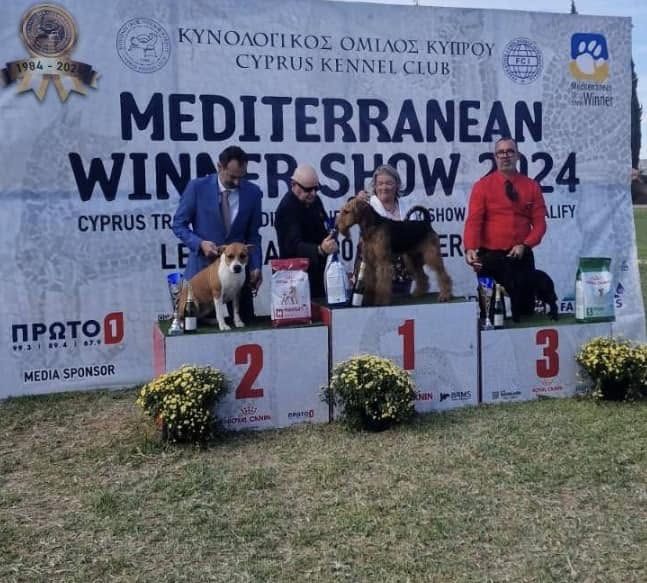 AFG handler and dog on the third-place step of the group podium