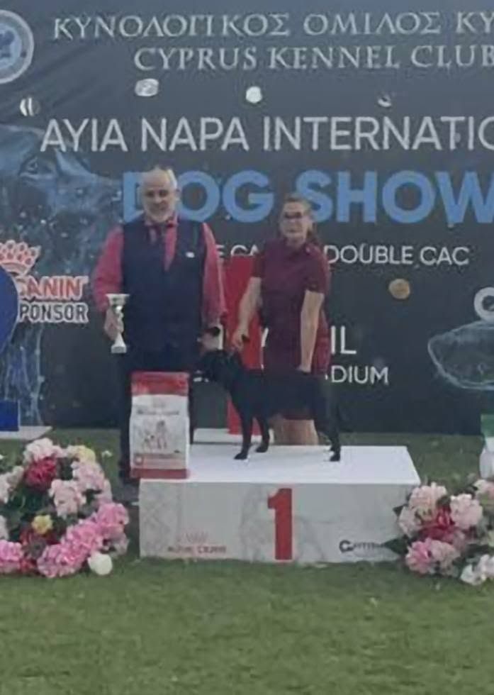 AFG Staffordshire Bull Terrier on the 1st-place podium